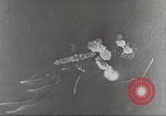 Standbild B-17 Flugzeuge Salomonen, 1942, aus Sekunde 57 historischem Filmmaterial Videoclip 65675059553
