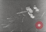Standbild B-17 Flugzeuge Salomonen, 1942, aus Sekunde 58 historischem Filmmaterial Videoclip 65675059553
