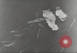 Standbild B-17 Flugzeuge Salomonen, 1942, aus Sekunde 61 historischem Filmmaterial Videoclip 65675059553