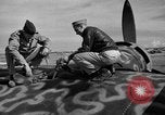 Standbild deutsche Ju-88 Flugzeuge europäische Theater, 1943, aus Sekunde 15 historischem Filmmaterial Videoclip 65675059561