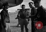 Standbild deutsche Ju-88 Flugzeuge europäische Theater, 1943, aus Sekunde 25 historischem Filmmaterial Videoclip 65675059563