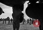 Standbild deutsche Ju-88 Flugzeuge europäische Theater, 1943, aus Sekunde 55 historischem Filmmaterial Videoclip 65675059563