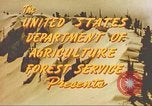 Standbild Lawine Alta Utah USA, 1950, aus Sekunde 5 historischem Filmmaterial Videoclip 65675059567