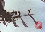 Standbild Lawine Alta Utah USA, 1950, aus Sekunde 50 historischem Filmmaterial Videoclip 65675059567
