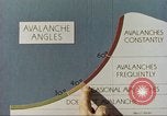 Image avalanche Alta Utah USA, 1950, de la seconde 14 séquences d'archives historiques vidéo 65675059568