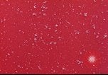 Image of avalanche Alta Utah USA, 1950, second 37 stock footage video 65675059576