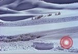 Image of slab avalanche Alta Utah USA, 1950, second 11 stock footage video 65675059577
