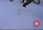 Image of slab avalanche Alta Utah USA, 1950, second 23 stock footage video 65675059577