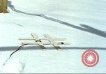 Image of forecasting avalanche Alta Utah USA, 1950, second 56 stock footage video 65675059580