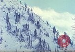 Image of test skiing Alta Utah USA, 1950, second 21 stock footage video 65675059583