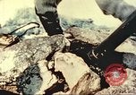 Image of 81mm mortar Alta Utah USA, 1950, second 10 stock footage video 65675059584
