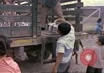Immagine di Popolo colombiano nel parco pubblico Candelaria Colombia, 1972, secondo 54 filmato di repertorio 65675059591