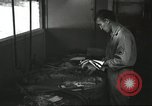 Image 8e Escadron de reconnaissance photographique du sud de l'océan Pacifique, 1943, de la seconde 25 séquences d'archives historiques vidéo 65675059599