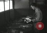Image 8e Escadron de reconnaissance photographique du sud de l'océan Pacifique, 1943, de la seconde 26 séquences d'archives historiques vidéo 65675059599