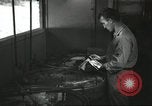 Image 8e Escadron de reconnaissance photographique du sud de l'océan Pacifique, 1943, de la seconde 28 séquences d'archives historiques vidéo 65675059599