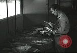 Image 8e Escadron de reconnaissance photographique du sud de l'océan Pacifique, 1943, de la seconde 29 séquences d'archives historiques vidéo 65675059599
