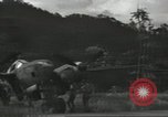 Image of P-38 aircraft South Pacific Ocean, 1943, second 21 stock footage video 65675059601