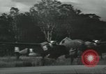 Image of P-38 aircraft South Pacific Ocean, 1943, second 23 stock footage video 65675059601