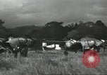 Image of P-38 aircraft South Pacific Ocean, 1943, second 61 stock footage video 65675059601