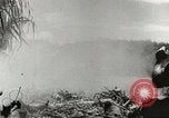 Image of Australian 9th Division New Guinea, 1944, second 31 stock footage video 65675059604