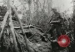 Image of Australian 9th Division New Guinea, 1944, second 50 stock footage video 65675059604