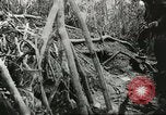 Image of Australian 9th Division New Guinea, 1944, second 52 stock footage video 65675059604