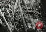 Image of Australian 9th Division New Guinea, 1944, second 53 stock footage video 65675059604