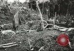 Image of Australian 9th Division New Guinea, 1944, second 54 stock footage video 65675059604