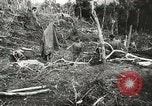 Image of Australian 9th Division New Guinea, 1944, second 55 stock footage video 65675059604