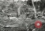 Image of Australian 9th Division New Guinea, 1944, second 56 stock footage video 65675059604