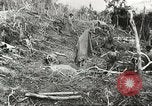 Image of Australian 9th Division New Guinea, 1944, second 58 stock footage video 65675059604