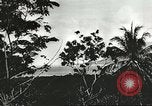 Standbild Allied task force Goodenough Island New Guinea, 1944, aus Sekunde 56 historischem Filmmaterial Videoclip 65675059607