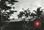 Standbild Allied task force Goodenough Island New Guinea, 1944, aus Sekunde 59 historischem Filmmaterial Videoclip 65675059607