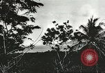 Standbild Allied task force Goodenough Island New Guinea, 1944, aus Sekunde 60 historischem Filmmaterial Videoclip 65675059607