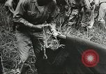 Image des soldats alliés Goodenough Island Nouvelle Guinée, 1944, de la seconde 4 séquences d'archives historiques vidéo 65675059608