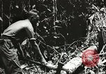 Image des soldats alliés Goodenough Island Nouvelle Guinée, 1944, de la seconde 19 séquences d'archives historiques vidéo 65675059608