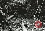 Image des soldats alliés Goodenough Island Nouvelle Guinée, 1944, de la seconde 24 séquences d'archives historiques vidéo 65675059608