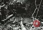 Image des soldats alliés Goodenough Island Nouvelle Guinée, 1944, de la seconde 26 séquences d'archives historiques vidéo 65675059608
