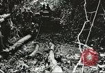 Image des soldats alliés Goodenough Island Nouvelle Guinée, 1944, de la seconde 28 séquences d'archives historiques vidéo 65675059608