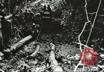 Image des soldats alliés Goodenough Island Nouvelle Guinée, 1944, de la seconde 29 séquences d'archives historiques vidéo 65675059608