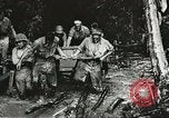 Image des soldats alliés Goodenough Island Nouvelle Guinée, 1944, de la seconde 31 séquences d'archives historiques vidéo 65675059608