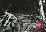 Image des soldats alliés Goodenough Island Nouvelle Guinée, 1944, de la seconde 36 séquences d'archives historiques vidéo 65675059608