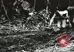 Image des soldats alliés Goodenough Island Nouvelle Guinée, 1944, de la seconde 37 séquences d'archives historiques vidéo 65675059608