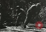 Image des soldats alliés Goodenough Island Nouvelle Guinée, 1944, de la seconde 51 séquences d'archives historiques vidéo 65675059608