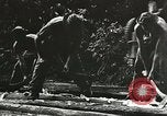 Image des soldats alliés Goodenough Island Nouvelle Guinée, 1944, de la seconde 54 séquences d'archives historiques vidéo 65675059608