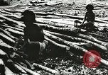 Image des soldats alliés Goodenough Island Nouvelle Guinée, 1944, de la seconde 56 séquences d'archives historiques vidéo 65675059608