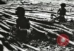 Image des soldats alliés Goodenough Island Nouvelle Guinée, 1944, de la seconde 57 séquences d'archives historiques vidéo 65675059608