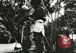 Image des soldats alliés Goodenough Island Nouvelle Guinée, 1944, de la seconde 61 séquences d'archives historiques vidéo 65675059608