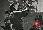 Standbild alliierten Soldaten Goodenough Island New Guinea, 1944, aus Sekunde 20 historischem Filmmaterial Videoclip 65675059609