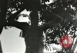 Standbild alliierten Soldaten Goodenough Island New Guinea, 1944, aus Sekunde 33 historischem Filmmaterial Videoclip 65675059609